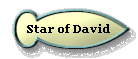  Star of David 