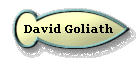  David Goliath 