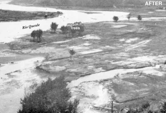 Photo of village after damage showing only a few trees