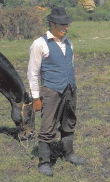 photo of man and horse out standing in their field